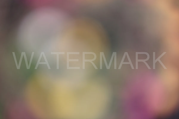 Blurred Backgrounds Volume 2