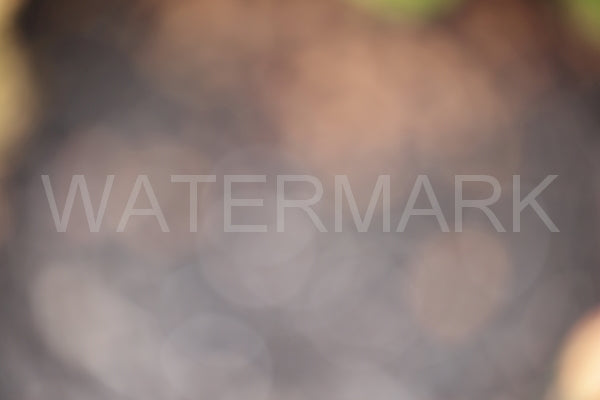 Blurred Backgrounds Volume 2