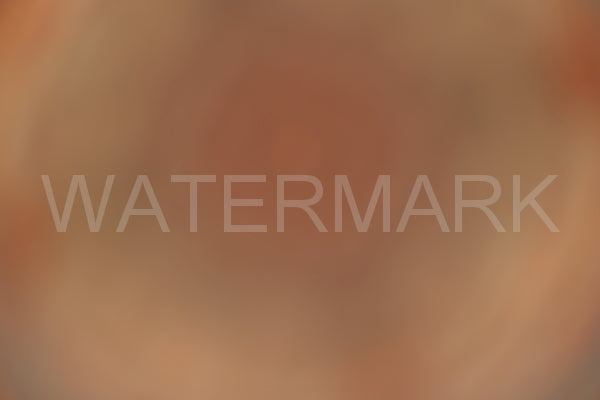 Blurred Backgrounds Volume 2