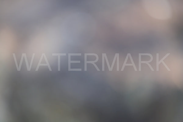 Blurred Backgrounds Volume 2