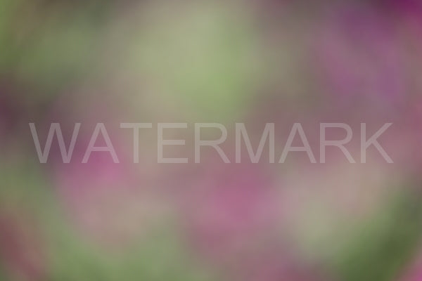 Blurred Backgrounds Volume 2