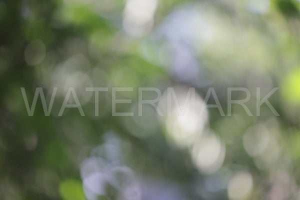 Blurred Backgrounds Volume 3