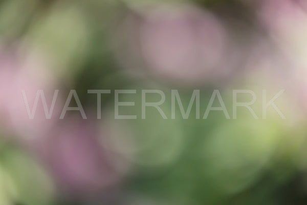 Blurred Backgrounds Volume 3