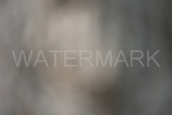 Blurred Backgrounds Volume 3