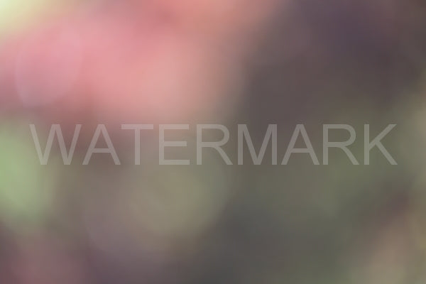 Blurred Backgrounds Volume 3