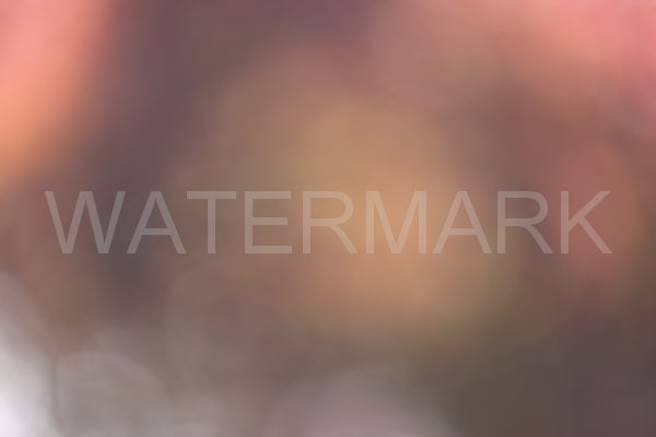 Blurred Backgrounds Volume 3