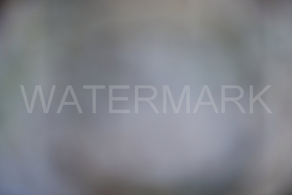 Blurred Backgrounds Volume 1