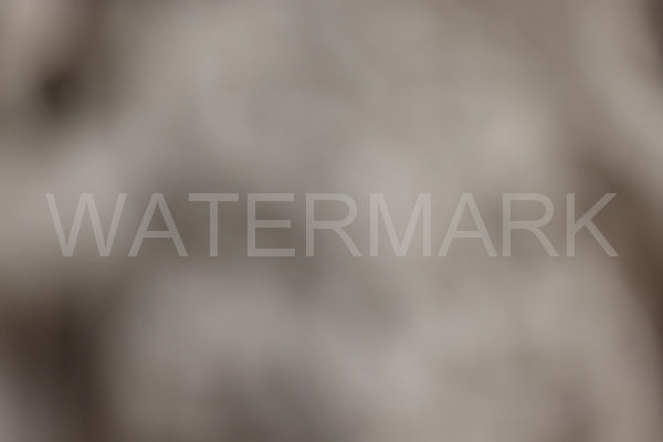 Blurred Backgrounds Volume 2