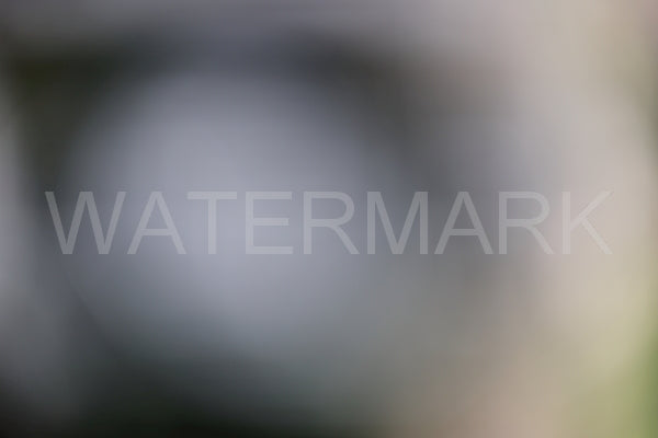 Blurred Backgrounds Volume 3