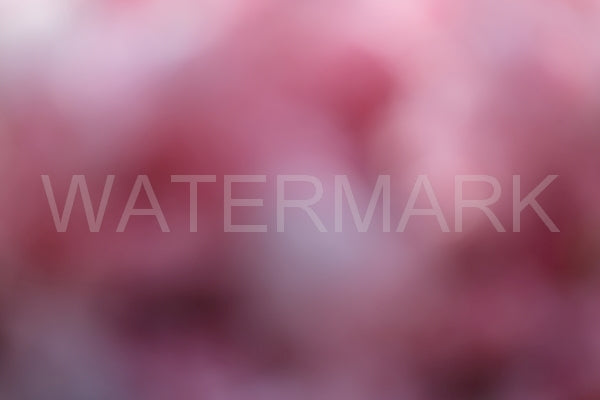 Blurred Backgrounds Volume 3