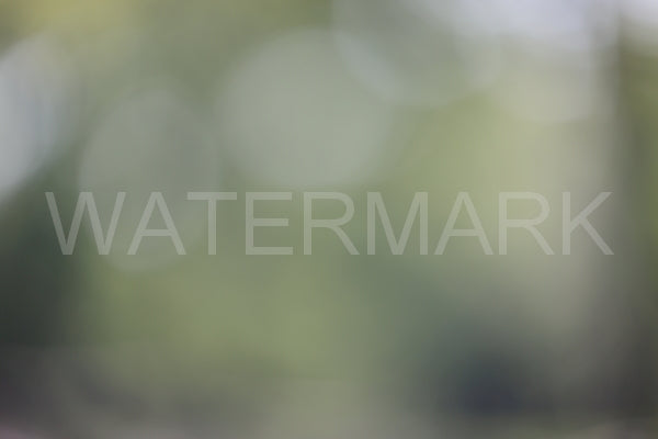 Blurred Backgrounds Volume 1