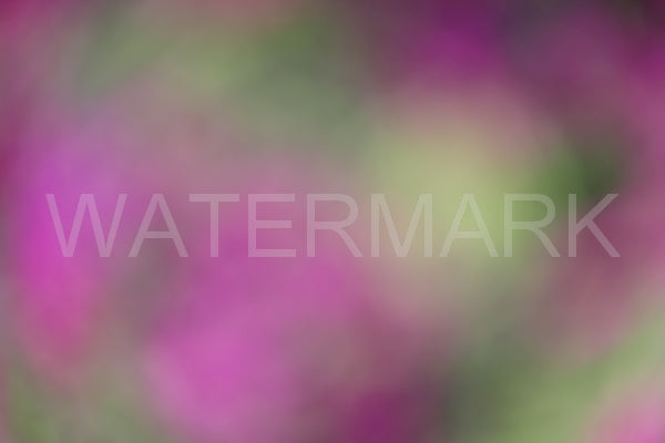 Blurred Backgrounds Volume 1