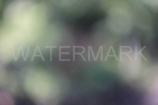 Blurred Backgrounds Volume 1